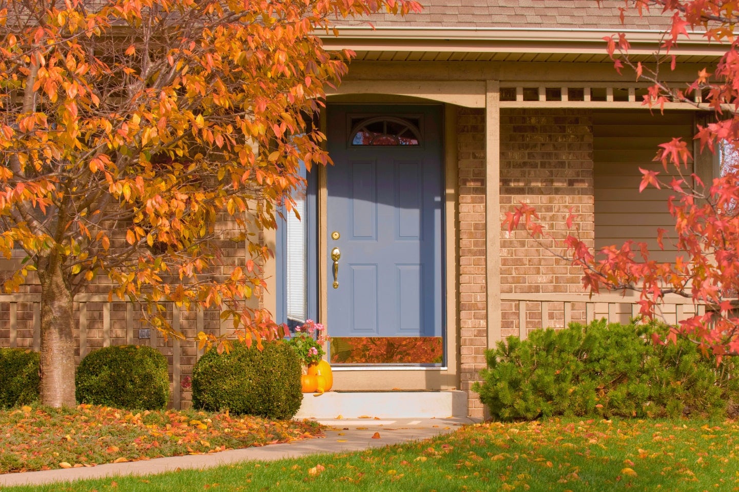 Porte d'entrée bleue d'une maison de briques entourée d'arbres aux feuilles oranges et rouges. Des feuilles sont tombées sur la pelouse et les buissons verts.