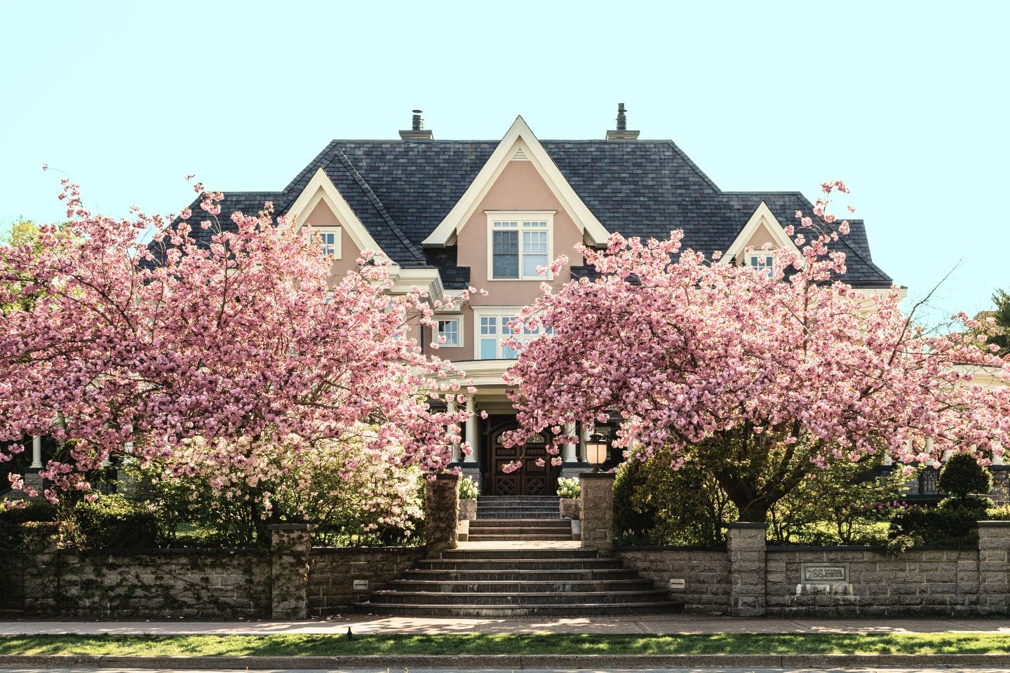 Une maison rose au toit en ardoise de face, entourée de cerisiers en fleur, dans une rue avec de l'herbe verte.